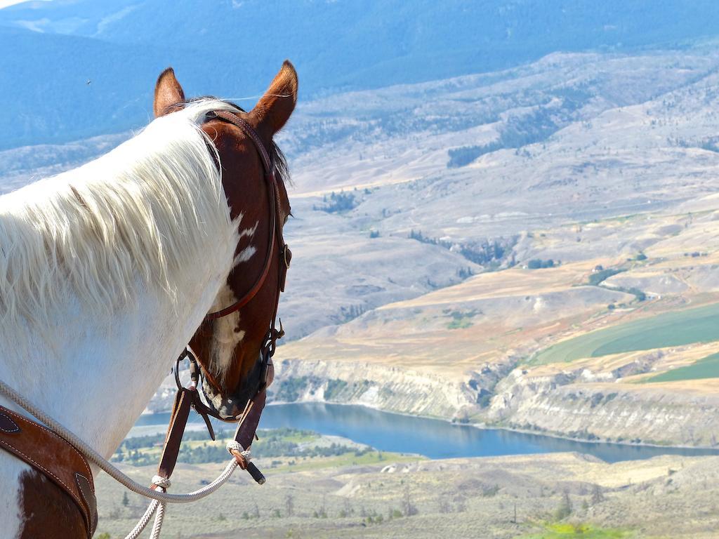 فيلا Ashcroftفي Sundance Guest Ranch المظهر الخارجي الصورة