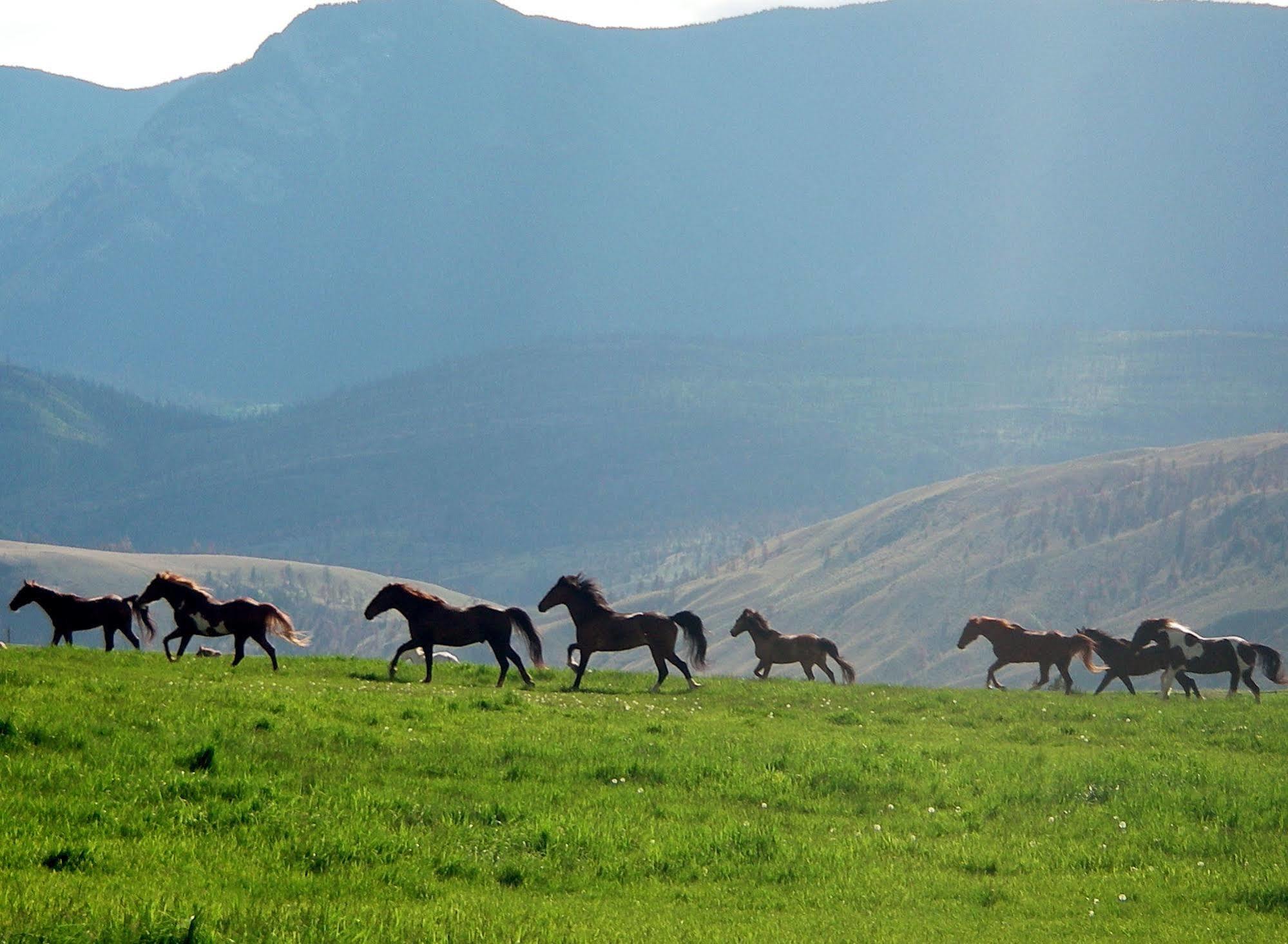 فيلا Ashcroftفي Sundance Guest Ranch المظهر الخارجي الصورة